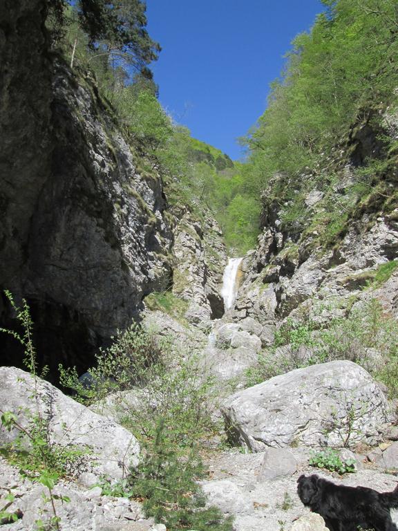 B&B L'Asinello Rampante Arta Terme Eksteriør bilde