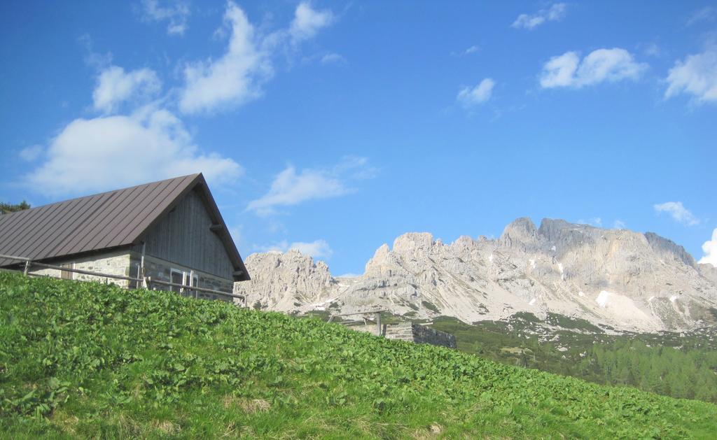 B&B L'Asinello Rampante Arta Terme Eksteriør bilde